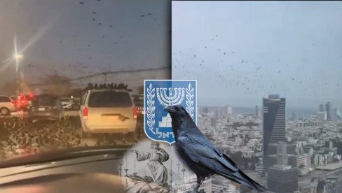LOŠ ZNAK, PREDSKAZANJE... Hiljade vrana okupiralo Tel Aviv, porede sa Knjigom Otkrivenja Jovanovog 19:17 (VIDEO)