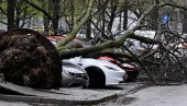 ZAGREB SABIRA ŠTETU OD NEVREMENA: Procenjuje se da je srušeno do 3.000 stabala