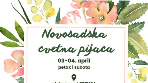CVETNA PIJACA U NOVOM SADU : Od ukrasnog bilja do pčelinjih proizvoda