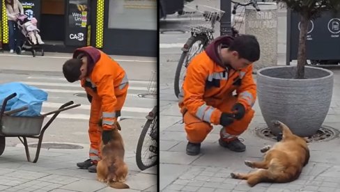 Srbija bruji o snimku radnika gradske čistoće - vidite ŠTA je radio sa psom lutalicom (VIDEO)