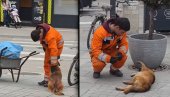 Srbija bruji o snimku radnika gradske čistoće - vidite ŠTA je radio sa psom lutalicom (VIDEO)