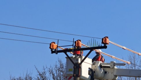 NAJVIŠE STRADAJU DNEVNE GRABLJIVICE MIŠAR I VETRUŠKE: Srpski ornitolozi na Međunarodnoj konferenciji o stradanju ptica  na dalekovodima