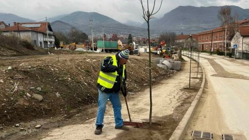 MINISTARSTVO EKOLOGIJE PRUŽA PODRŠKU: Sadnja lipa u Vranju