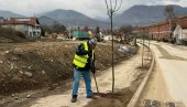 MINISTARSTVO EKOLOGIJE PRUŽA PODRŠKU: Sadnja lipa u Vranju