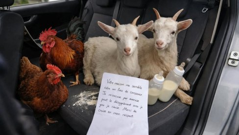 OVO NIJE PRVOAPRILSKA ŠALA! Otvorio vrata auta i zatekao prizor koji ga je ostavio u šoku – uz njih je stajalo i potresno pismo