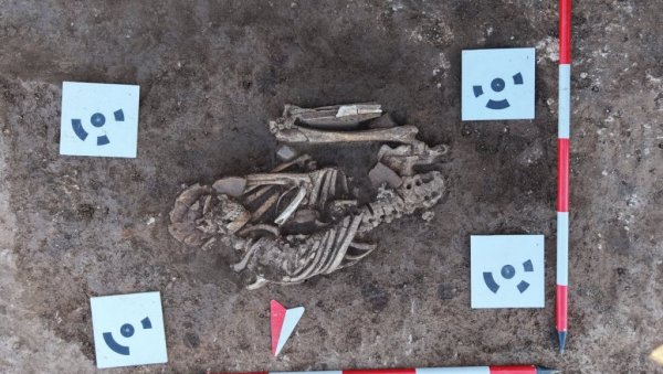 Откривени гробови стари 8.000 година: Истраживања нишког ЗЗСК на локалитету Новосел међу највећима од његовог оснивања (ФОТО)