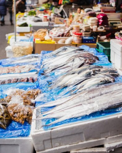 ОВО ЈЕ НАЈЗДРАВИЈА РИБА НА СВЕТУ: Има бројне бенефите