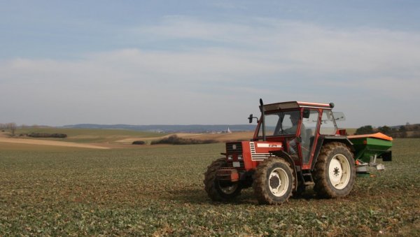 СРПСКЕ ЊИВЕ ДИЖУ ЦЕНУ: Ово је најтраженији регион у земљи