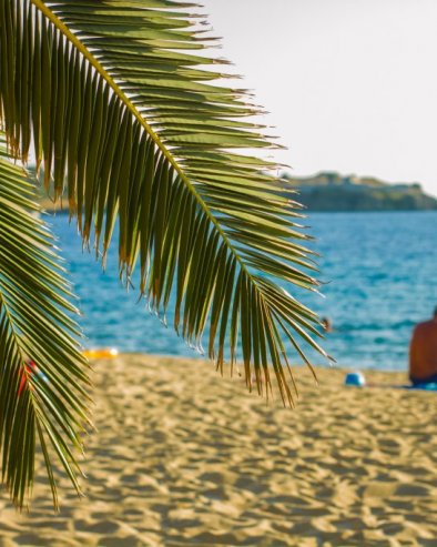 КАН БЕЗ ИТАЛИЈАНА: Објављена листа филмова који ће се наћи у такмичарском програму и трци за Златну палму