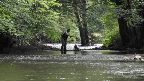 НА ПЕЦАЊЕ У НАЦИОНАЛНИ ПАРК: Риболов на језерима планине Таре