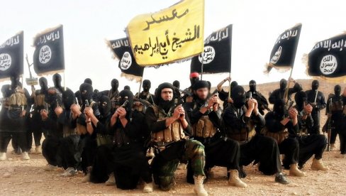 ТУРСКА ЖЕСТОКО УДАРИЛА НА ИСИС: Приведено око 200 осумњичених, операција спроведена широм земље