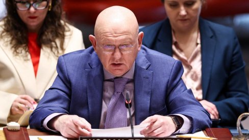 Небензја: Међународне организације прикривају злочине против руских новинара