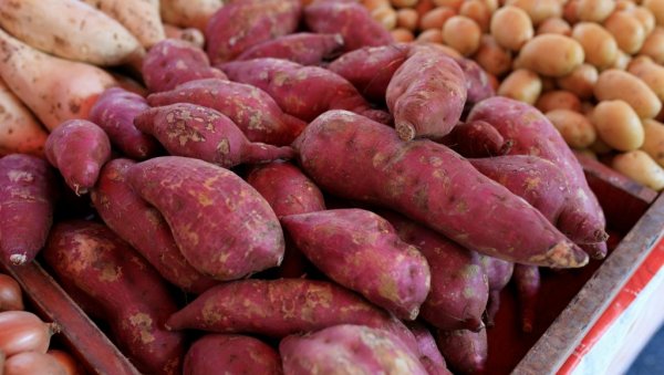 ЗАРАДИТЕ И ДО 40.000 ЕВРА ГОДИШЊЕ: Ове три културе могу донети богатство - Одмах покрените бизнис!