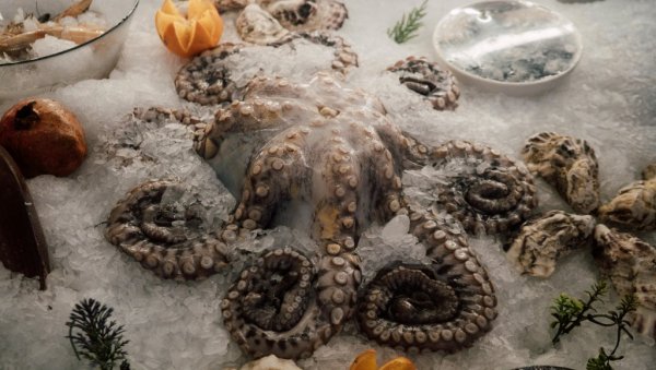 ДА ЛИ БИСТЕ ОВО ПРОБАЛИ? Сладоледи од хоботнице, лигњи и коњетине постају стварност