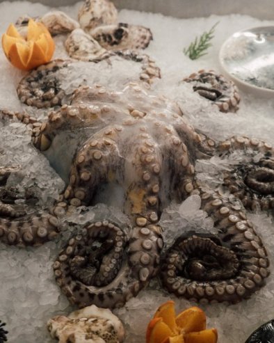 ДА ЛИ БИСТЕ ОВО ПРОБАЛИ? Сладоледи од хоботнице, лигњи и коњетине постају стварност