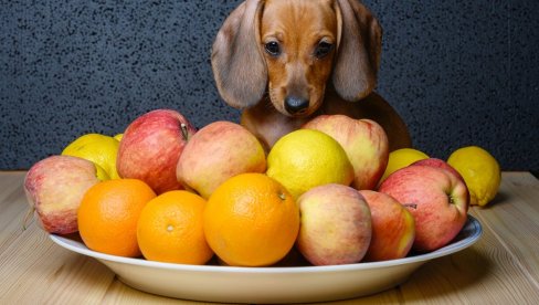 Које врсте воћа пси смеју да једу? Биће им укусна и нутритивна посластица