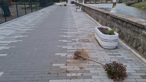 Kamere će otkriti vandale? Počupane sadnice na keju pored Vlasine, u centru Vlasotinca