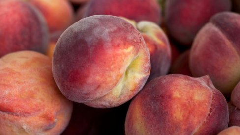 Како зарадити на бресквама, чак и са мало стабала: Савети за власнике мањих плантажа