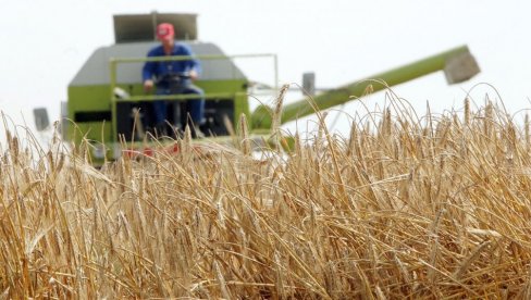 Стиже нова помоћ државе: Ево ко може да се пријави
