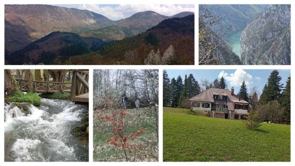 Овде време као да је стало: Лепоте нетакнуте природе на граници Србије и Босне и Херцеговине (ФОТО)