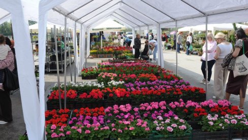 Dah proleća kraj Ibra: Minulog vikenda u Kraljevu održan prvi Sajam cveća (FOTO)