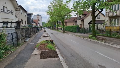 Ekocid u Banjaluci: Posečen  drvored i na destine stabala na obali Vrbasa