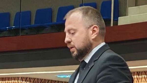 Александар Мирковић у Савету Европе: Избори на Косову и Метохији нису били демократски процес