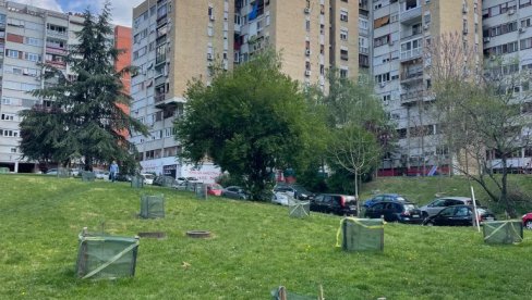 ДА ЛИ ЈЕ 11 МИЛИЈАРДИ ЗА ЧИСТИЈИ ВАЗДУХ, ПОЛА МИЛИОНА САДНИЦА И ОЧИШЋЕНЕ ДЕПОНИЈЕ МРТВО СЛОВО НА ПАПИРУ? Министарство одговорило