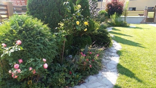 Традиционална акција: Бира се најлепше уређено двориште на подручју града Пожаревца