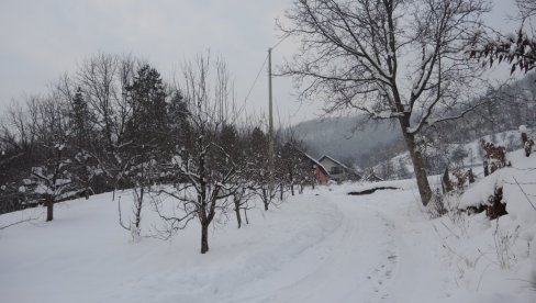 Hoće li maline stradati zbog snega? Voćari u Kušićima kod Ivanjice zabrinuti