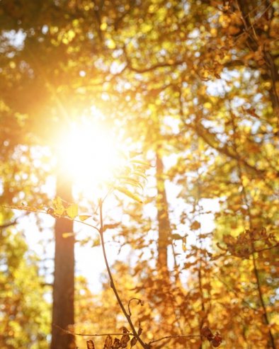 Долази један од најсрећнијих астролошких аспеката: 3 знака улазе у период мира, успеха и оптимизма