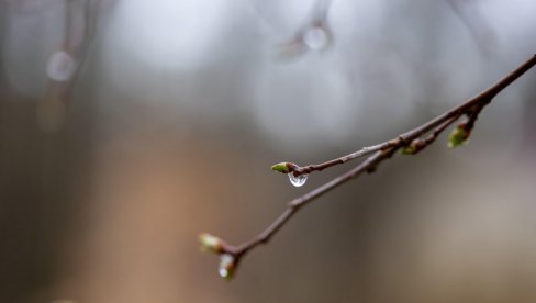 DANAS SMENA SUNCA I OBLAKA: Najviša dnevna temperatura do 26 stepeni