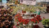Diplome za uspešne prezentacije: Šest kazneno popravnih ustanova izlagalo na Međunarodnom sajmu holtikulture u Beogradu