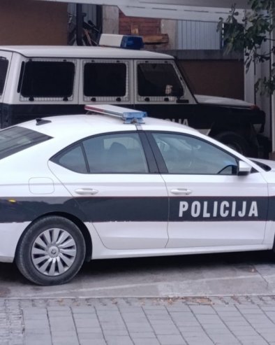 БРУТАЛНО ДВОСТРУКО УБИСТВО У ФБиХ: Мајку и брата усмртио лопатом, комшије у шоку (ВИДЕО)