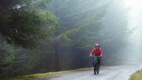 Najnovija Studija: Gljivice u zemljištu stvaraju kišu?