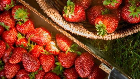 Kako prepoznati domaće jagode? Jedan znak je jasan pokazatelj