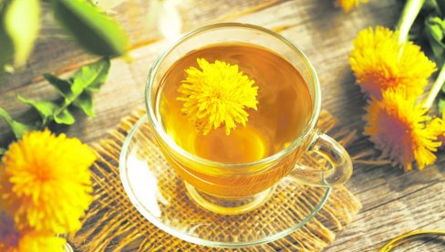 Kopriva i maslačak protiv malokrvnosti: Pratite ove savete i popravite krvnu sliku