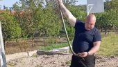 Vladica uhvatio zmiju - skoro 2 metra! Kaptalac ispred restorana (Video)