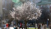 У једном дану и зимске и летње вредности: Наредне седмице нас очекује невероватан преокрет времена