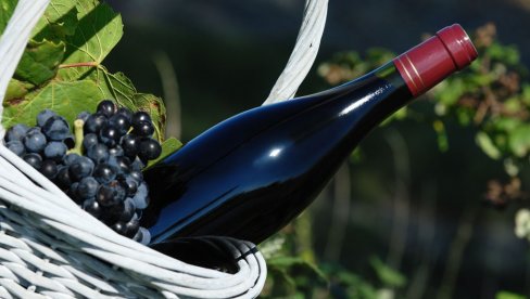 VATIKAN IMA I ZVANIČNO VINO: Proizvedeno  u 5.000 boca, namenjeno za proslave u posebnim prilikama