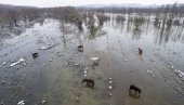 Одоговоран однос према климатским променама: Србија јасним циљем и знањем у борби са најважнијим глобалним изазовима