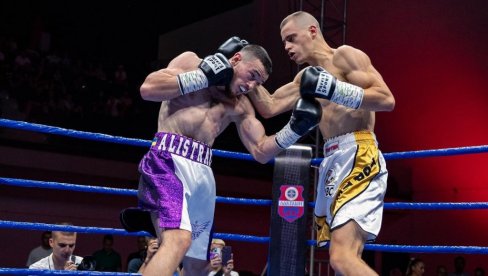 Спектакл у Београду: Борба за WBC титулу, а учествује крем српског бокса