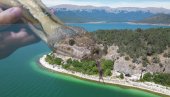 ОСТРВО ЗМИЈА У БЛИЗИНИ СРБИЈЕ: На сваком кораку вреба поскок - на њему одавно нико не живи (ВИДЕО)