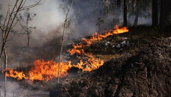 ПОЖАР У ЧЕРНОБИЉУ ПРЕТЊА ЗА ЕВРОПУ: У Забрањеној зони букти ватра коју украјински ватрогасци три дана не могу да обуздају (ФОТО)
