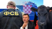 РУСКИ АГЕНТИ СТИГЛИ И ДО ХРВАТСКЕ: Пуковник ФСБ бежао у лешу краве, тражили га на јахти у Јадрану