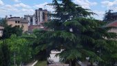 ИЗБАЦИМО КАБАСТИ ОТПАД: Акција у Врању