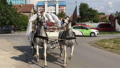 ДОК ЈЕ СНАША, БИЋЕ И ЧИЛАША: У Банату се опет враћа традиција венчања уз каруце и коње (ФОТО)