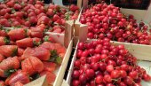 SA PIJACE MAME JAGODE I TREŠNJE: U Paraćinu cene polako padaju, a kupaca ima (FOTO)