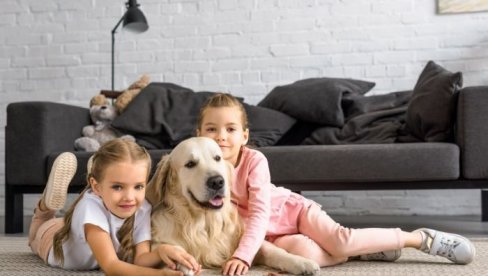 5 RASA PASA KOJE NISU ZA DECU: Mogu da budu opasne sa najmlađima
