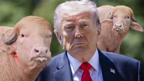 ДОНАЛД ТРАМП НЕЋЕ БИТИ ЗАКЛАН! Биво са фризуром америчког председника поштеђен жртвовања у задњи час - толико популаран да је и Влада инте